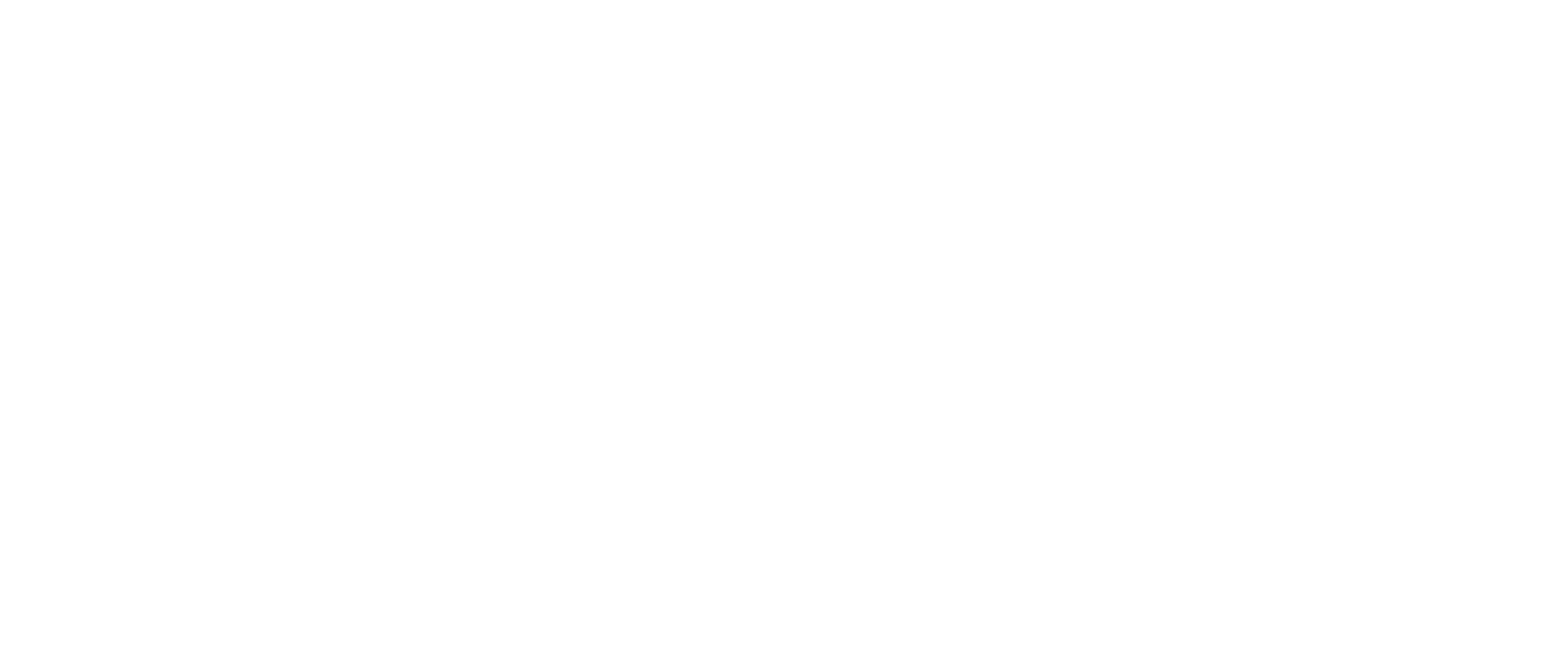 Logo PASO